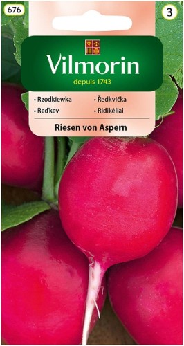 rzodkiewka-riesen-von-aspern.jpg