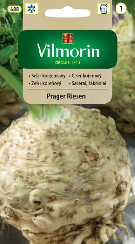 seler-korzeniowy-prager-riesen.jpg