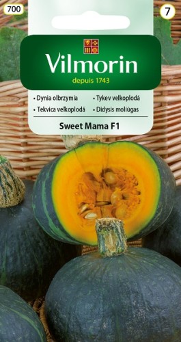dynia-olbrzymia-sweet-mama-f1.jpg