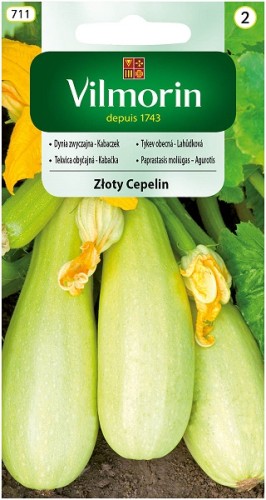 dynia-kabaczek-zwyczajna-zolta-cepelin.jpg