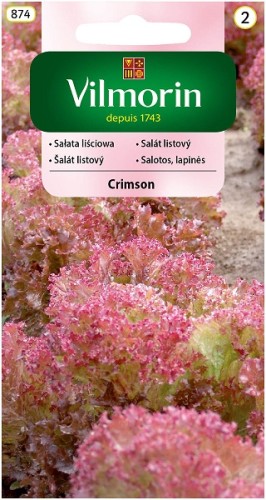 salata-lisciowa-czerwona-crimson.jpg