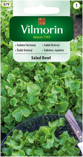 salata-lisciowa-salad-bowl.jpg