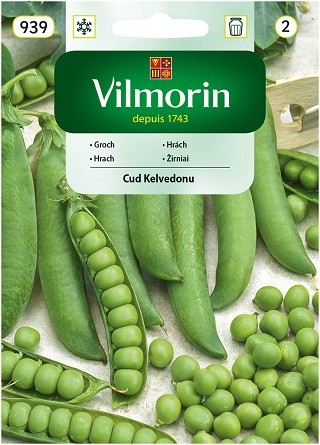 groch-cud-kelvedonu.jpg