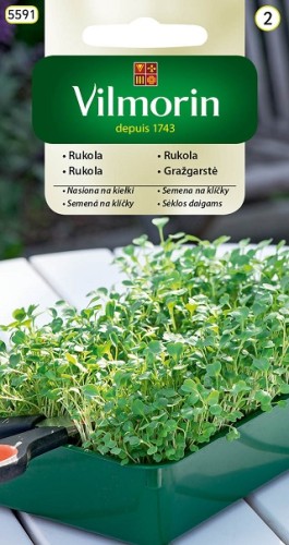 rukola-na-kielki.jpg