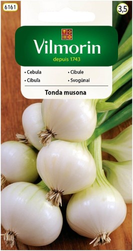 cebula-tonda-musona-biala.jpg