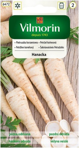 pietruszka-hanacka-korzeniowa.jpg