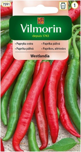 papryka-ostra-westlandia.jpg