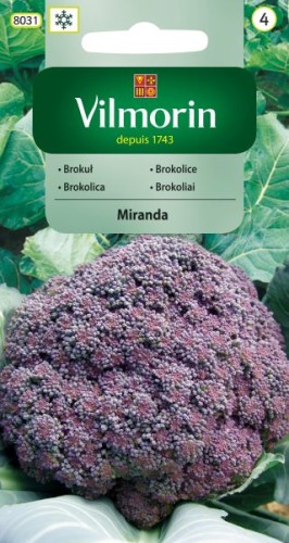 brokul-miranda-1g-gc4.jpg
