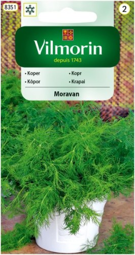 koper-moravan.jpg