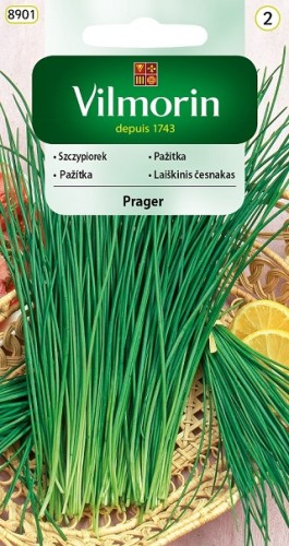 szczypiorek-prager.jpg