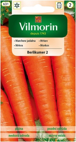 marchew-jadalna-berlikumer-2.jpg