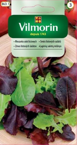 mieszanka-salat-lisciowych.jpg
