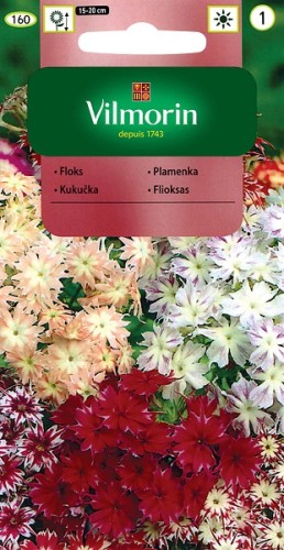 floks-gwiazdzisty-mix.jpg