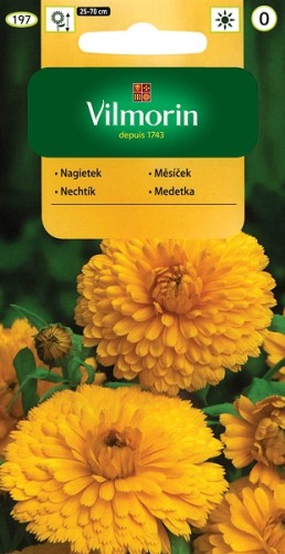 nagietek-lekarski-zolty-3g.jpg