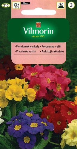 pierwiosnek-wyniosly-mieszanka.jpg
