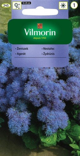 zeniszek-meksykanski-niebiesko-lawendowy.jpg