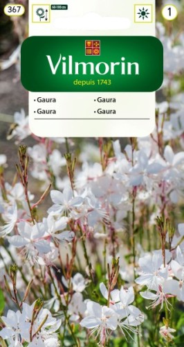 gaura.jpg