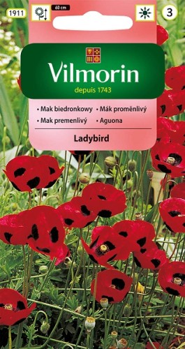 mak-biedronkowy-ladybird.jpg