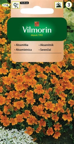 aksamitka-waskolistna-pomaranczowa.jpg