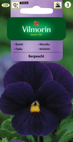 bratek-szwajcarski-wielokwiatowy-bergwacht.jpg