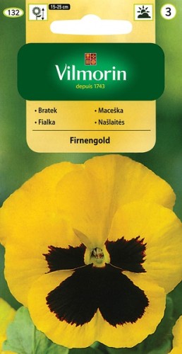 bratek-szwajcarski-wielkokwiatowy-firnengold.jpg