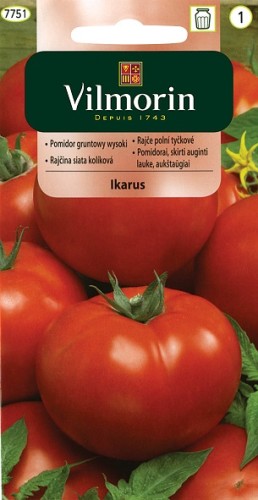 pomidor-ikarus-gruntowy-wysoki.jpg
