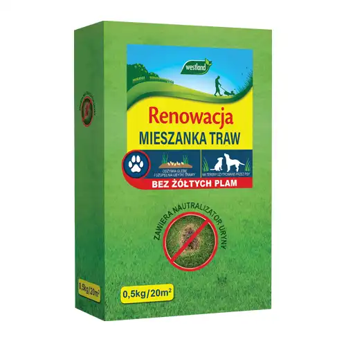 nasiona-traw-renowacja.webp