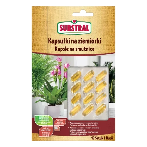 1641101-SUB-Kapsułki-65100.png.webp