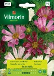 Kosmos muszelkowy Sea Shells mieszanka 200mg Vilmorin Garden