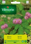 Mimoza wstydliwa 0,8g Vilmorin Garden