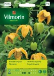 Powojnik tangucki żółty 0,2g Vilmorin Garden
