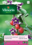 Kolcowój szkarłatny Jagody Goji 0,1g Vilmorin Garden