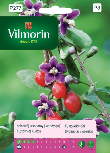 5907617322202.jpg
