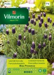 Lawenda francuska 0,3g Vilmorin Garden