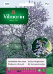 Paulownia omszona 0,1g Vilmorin Garden
