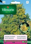 Tulipanowiec amerykański 0,2g Vilmorin Garden