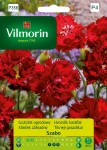 Goździk ogrodowy szabo Picotte czerwony 500mg Vilmorin Garden