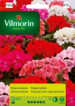 Pelargonia rabatowa mieszanka 10ziaren Vilmorin Garden