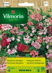 Pelargonia zawisająca mieszanka 5ziaren Vilmorin Garden