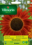 Słonecznik ozdobny Abendsonne 0,5g Vilmorin Garden
