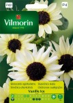 Słonecznik Vanille Ice ogórkolistny 0,5g Vilmorin Garden