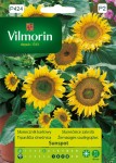 Słonecznik Sunspot 1g Vilmorin Garden
