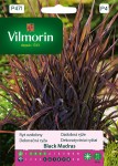 Ryż ozdobny Black Madras 1g Vilmorin Garden