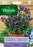 Lawenda lekarska 0,2g Vilmorin Garden