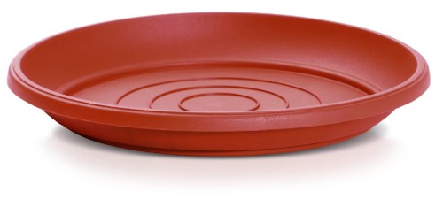 POD_R624 TERRA.jpg