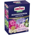 Substral Osmocote Nawóz do Rododendronów 300g