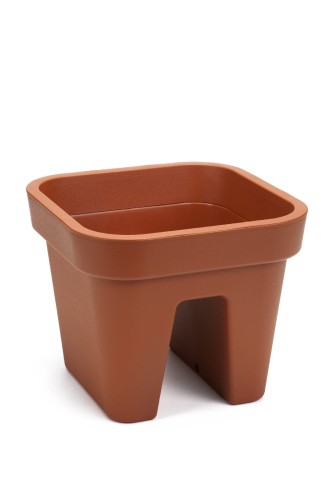 LOBELIA ceglasty nr 31.jpg