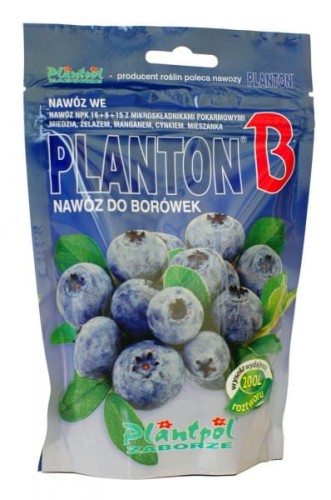 PlantonB.jpg