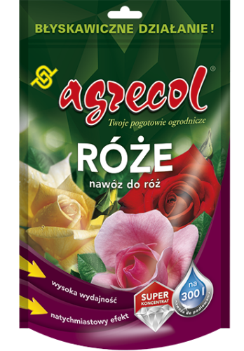 124-K-roza-300-g-wiz-od.png