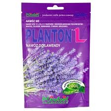 plant 2 l.jpg